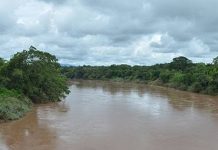 Encuentran cuerpo sin vida flotando en las aguas del río Tuma, en Mulukukú Foto: Hallan cuerpo sin vida en el río Tuma/Cortesía