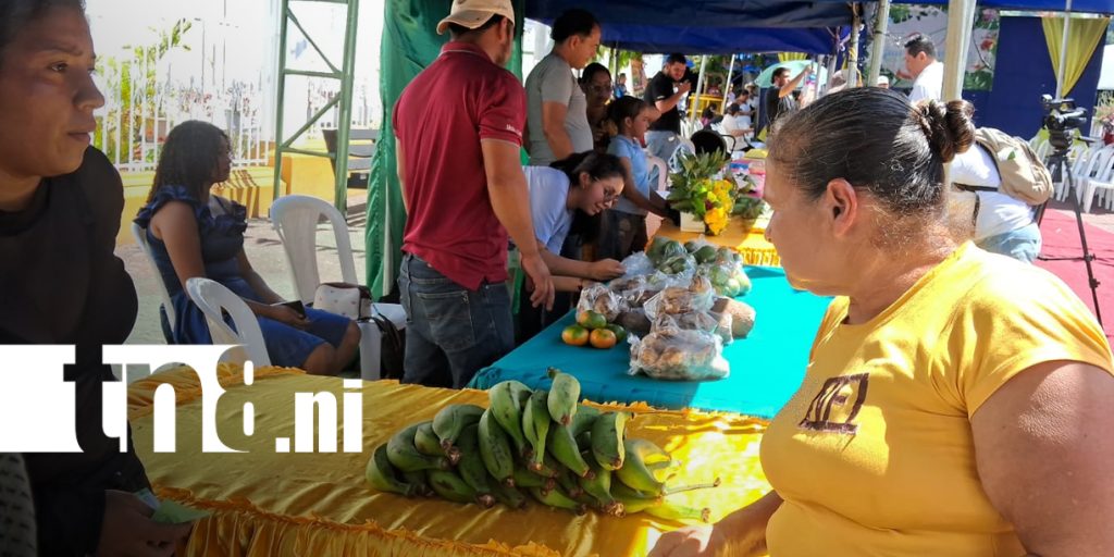 Foto: Festival del Campo reúne a jóvenes productores en Matagalpa/TN8