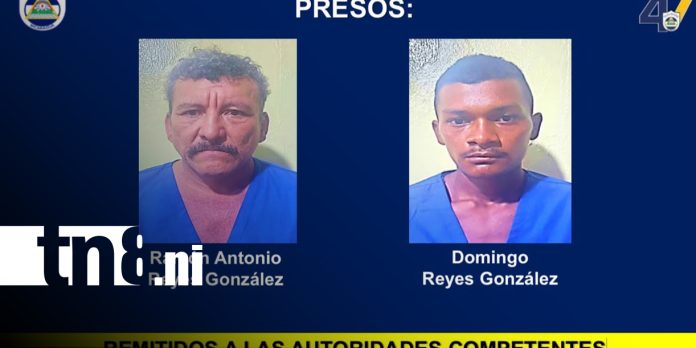 2 Foto: Policía captura a 98 personas por distintos delitos en una semana/TN8