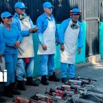 ¡Contra el mosquito! Nicaragua refuerza fumigación por lluvias y humedad Foto: Nicaragua intensifica fumigación ante las lluvias/tn8