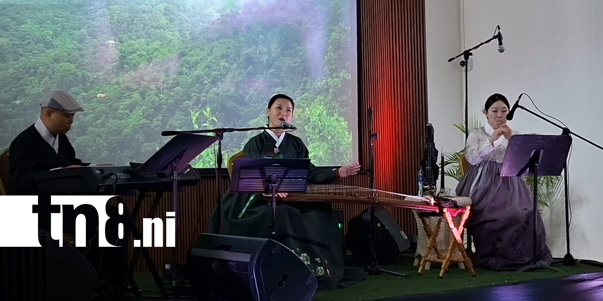 Foto: Música y danza coreana protagonizan concierto en Granada/TN8