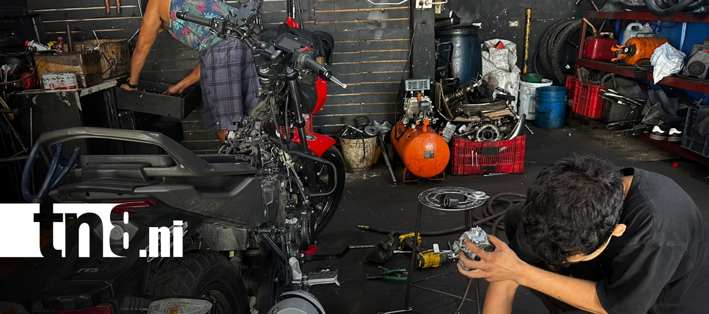 Foto: ¿Tenés moto? Estas opciones pueden ayudarte a protegerla/TN8