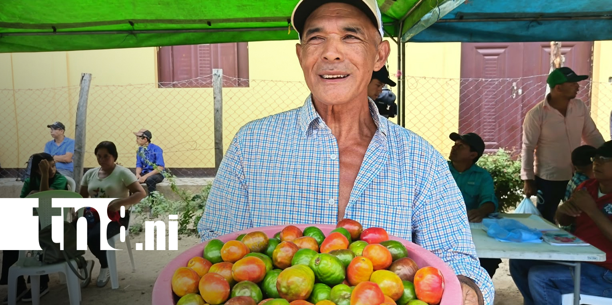 Foto: Feria del Jocote: tradición y prosperidad agrícola en Nueva Segovia/TN8