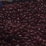 Producción nacional y exportaciones agropecuarias impulsan la economía de Nicaragua Foto: Producción nacional y exportaciones agropecuarias impulsan la economía de Nicaragua/TN8