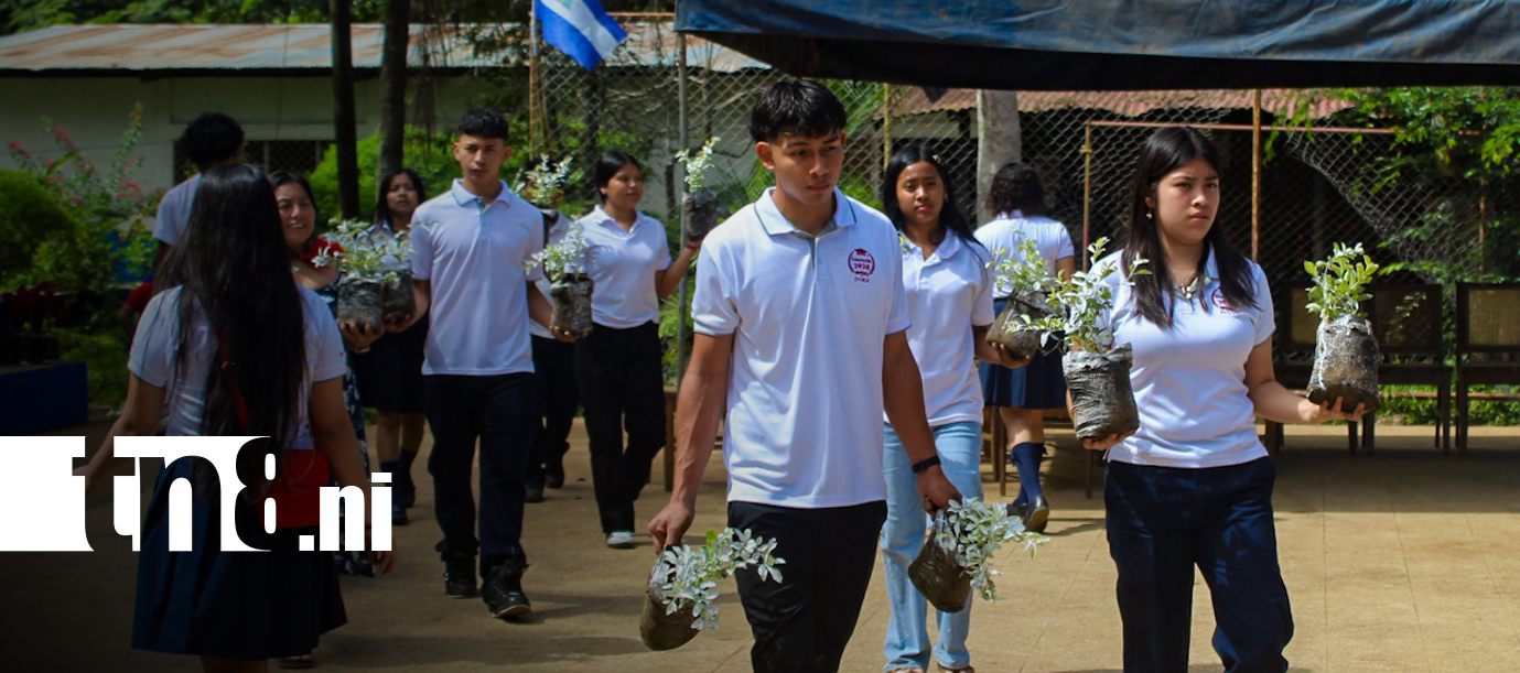 Foto: Estudiantes de Catarina rinden homenaje a Benjamín Zeledón con alfombra floral/TN8