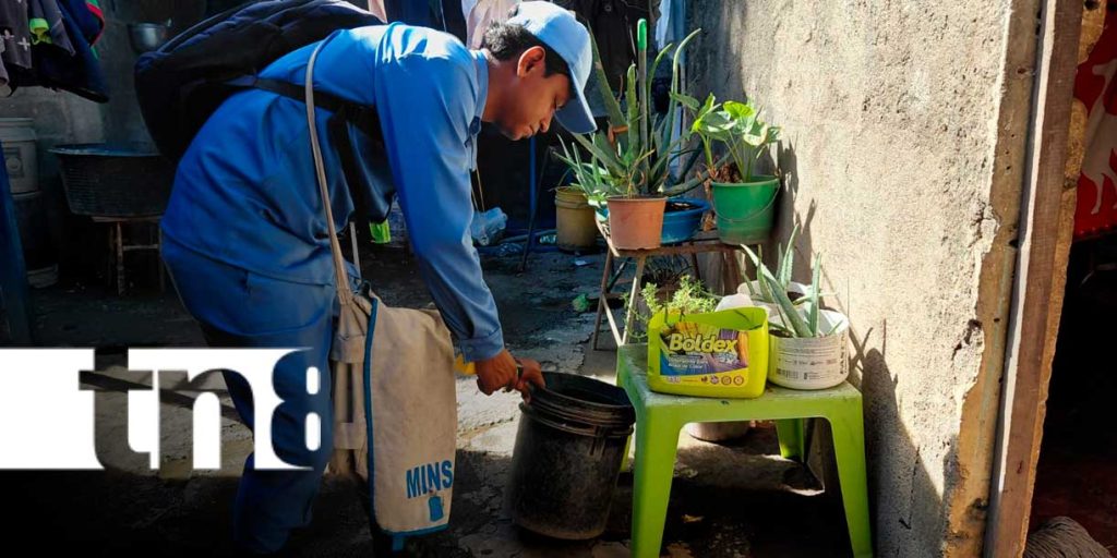 Foto: Mosquito: Salud intensifica prevención en Reparto España/TN8