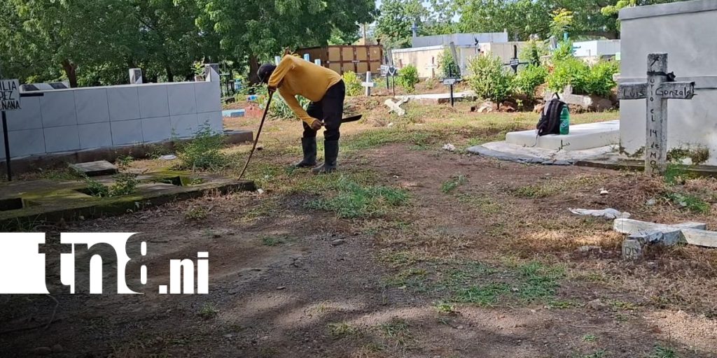 Foto: Cementerio de Granada recibe limpieza, poda y mantenimiento/TN8