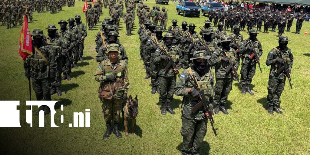 Foto: Ejército de Nicaragua despliega 3 mil efectivos para proteger la cosecha cafetalera 2026-2027/TN8