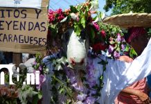 Torovenado de Monimbó recorre las calles de Masaya con sátira, color y tradición