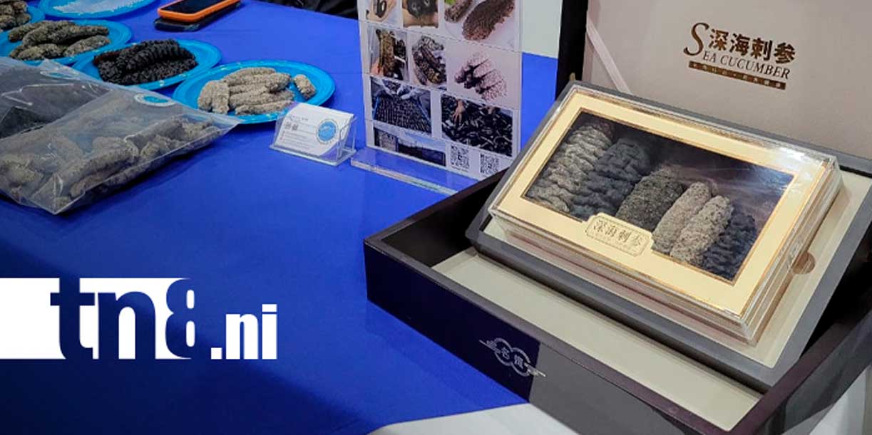 Foto: Anuncian nueva edición del Foro Nicaragua Export/TN8