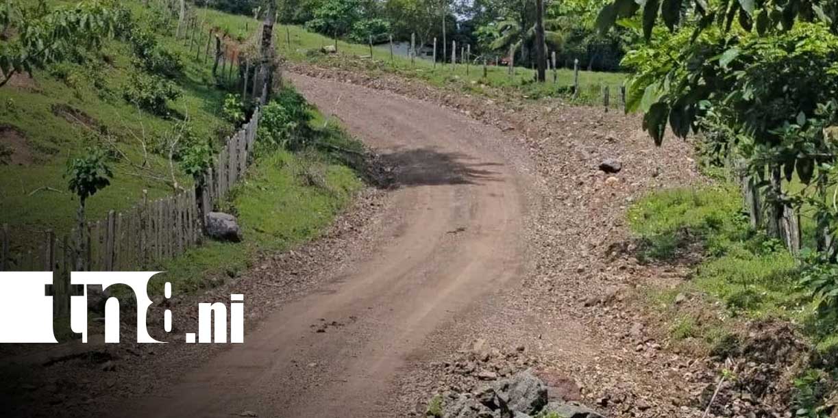 Foto: Camino productivo de 5.5 kilómetros mejora acceso en Río Blanco/TN8