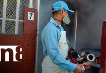 ¡A limpiar los patios! MINSA combate al mosquito en Reparto España Foto: Mosquito: Salud intensifica prevención en Reparto España/TN8