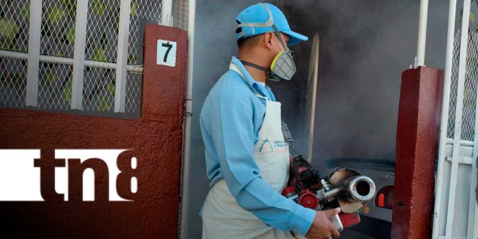 Foto: Mosquito: Salud intensifica prevención en Reparto España/TN8 Foto: Mosquito: Salud intensifica prevención en Reparto España/TN8