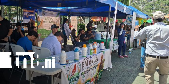 Foto: Festival del Campo reúne a jóvenes productores en Matagalpa/TN8