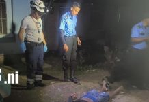 Gritos de auxilio alertan a vecinos y frenan presunta agresión contra joven en Estelí Foto: Gritos de auxilio alertan a vecinos y frenan presunta agresión contra joven en Estelí/TN8