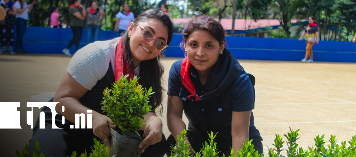 Foto: Estudiantes de Catarina rinden homenaje a Benjamín Zeledón con alfombra floral/TN8
