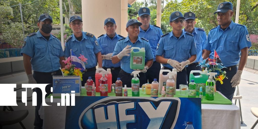 Foto: Estudiantes dan un paso para su crecimiento profesional/TN8