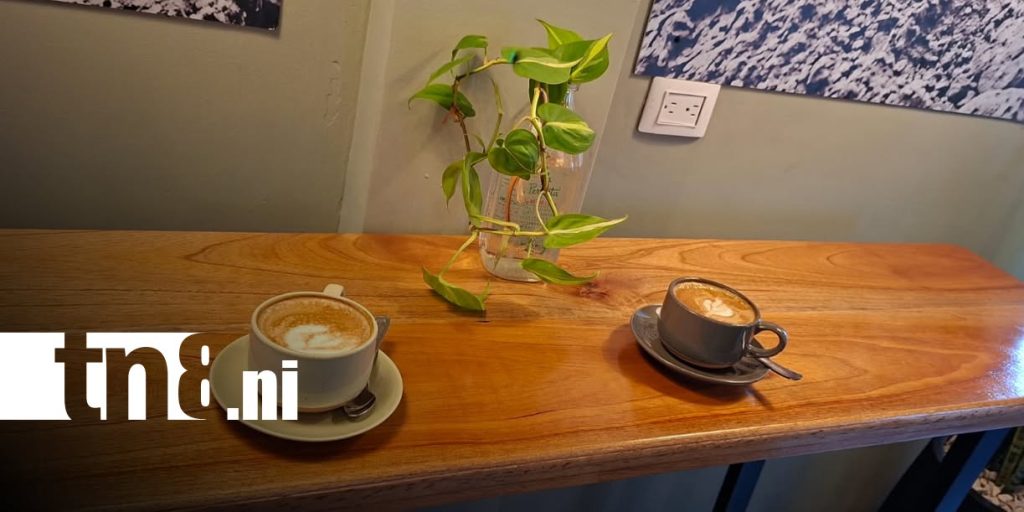Foto: ¿Café y excavadoras? El innovador concepto que conquista a los nicaragüenses/TN8