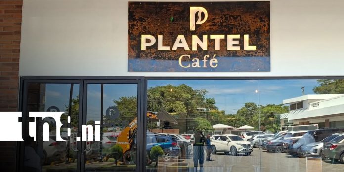 859218698_1599329788904417_8175993031965275882_n Foto: ¿Café y excavadoras? El innovador concepto que conquista a los nicaragüenses/TN8