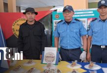 Foto: Estudiantes dan un paso para su crecimiento profesional/TN8