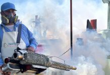 MINSA elimina criaderos de zancudos antes del 2 de noviembre Foto: Día de Difuntos: limpian cementerios y combaten zancudos / Cortesía