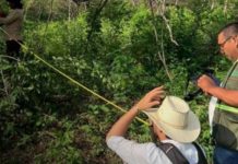 Foto: Nicaragua avanza en la tercera etapa del Inventario Nacional Forestal 2026/Cortesía