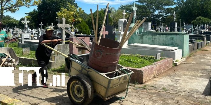 Foto: Tumbas estrenan imagen y se alistan para el 2 de noviembre / TN8