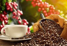 Nicaragua, el paradigma del café, por: Fabrizio Casari Foto: Nicaragua, el paradigma del café, por: Fabrizio Casari / Cortesia