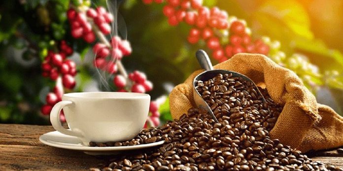 Foto: Nicaragua, el paradigma del café, por: Fabrizio Casari / Cortesia