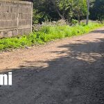 Mejoran camino rural en Plan Grande y benefician a más de 1,500 familias Foto: Más de 1,500 familias beneficiadas con nuevo camino / TN8
