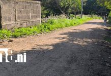 Mejoran camino rural en Plan Grande y benefician a más de 1,500 familias Foto: Más de 1,500 familias beneficiadas con nuevo camino / TN8