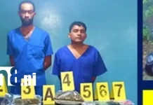 Dos hombres caen con cinco libras y diez onzas de marihuana en Masaya Foto: Les encuentran marihuana durante requisa en Masaya /TN8