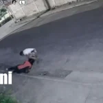 ¡Lo persiguieron! Capturan a señalado de robarle el bolso a una joven en Managua Foto: Jóvenes persiguen a presunto ladrón tras asalto en Managua /TN8