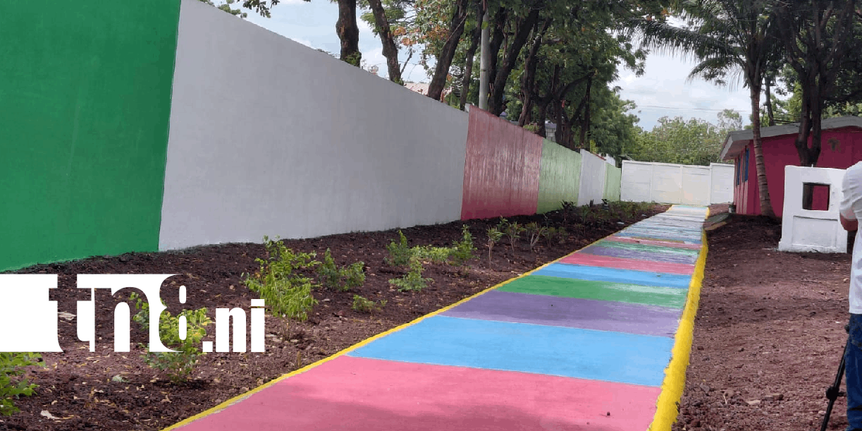 Foto: Rehabilitan drenaje pluvial en el mercado Huembes /TN8