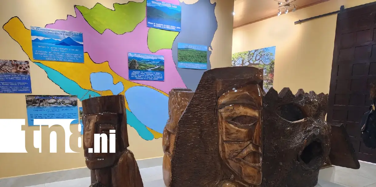 Foto: El árbol que guarda la memoria de Nagarote ya tiene su propio museo /TN8