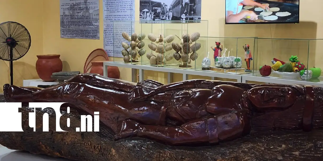 Foto: El árbol que guarda la memoria de Nagarote ya tiene su propio museo /TN8