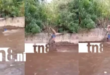 ¡Rescate de película! arriesga su vida para rescatar a un hombre en un cauce de Managua Foto: Arriesgó su vida para salvar otra: rescate en cauce de Managua /TN8