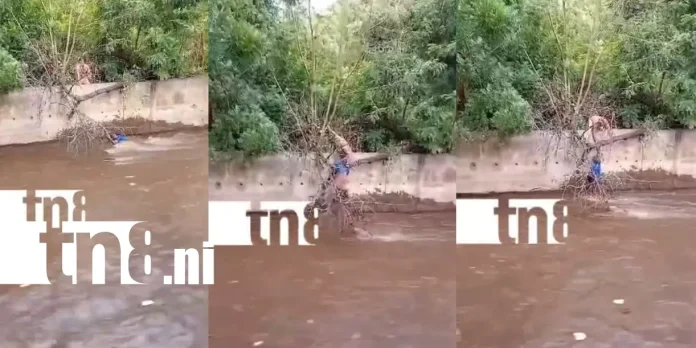 Foto: Arriesgó su vida para salvar otra: rescate en cauce de Managua /TN8