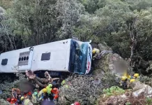 Foto: Autobús cae por un barranco en España /Cortesía