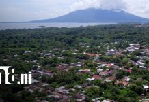 Plátano y café orgánico: los motores productivos que dinamizan la economía de Altagracia Foto: Desarrollo en Altagracia, en Ometepe / TN8