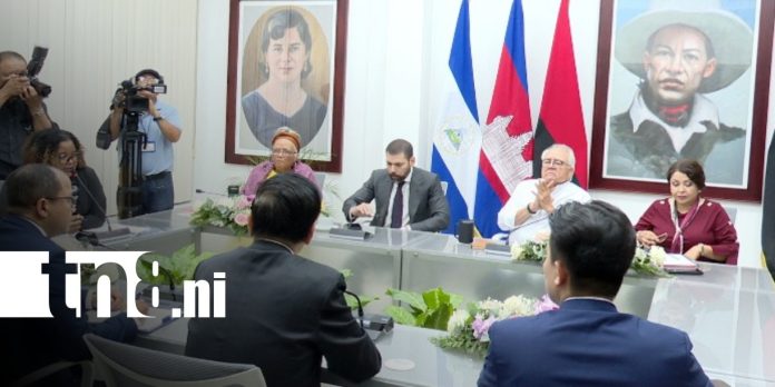 Foto: Nicaragua y Camboya en cooperación bilateral / TN8 Foto: Nicaragua y Camboya en cooperación bilateral / TN8