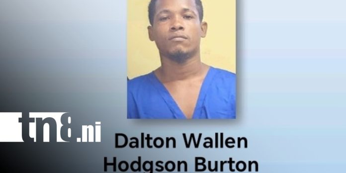 Foto: Capturan a sujeto por crimen en Haulover, Caribe Sur de Nicaragua / TN8 Foto: Capturan a sujeto por crimen en Haulover, Caribe Sur de Nicaragua / TN8