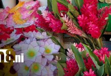 Cementerio General: flores desde 30 córdobas para honrar a los seres queridos Foto: Variedad de flores en cementerios de Managua / TN8