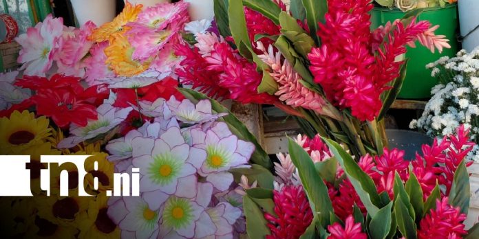 Foto: Variedad de flores en cementerios de Managua / TN8 Foto: Variedad de flores en cementerios de Managua / TN8