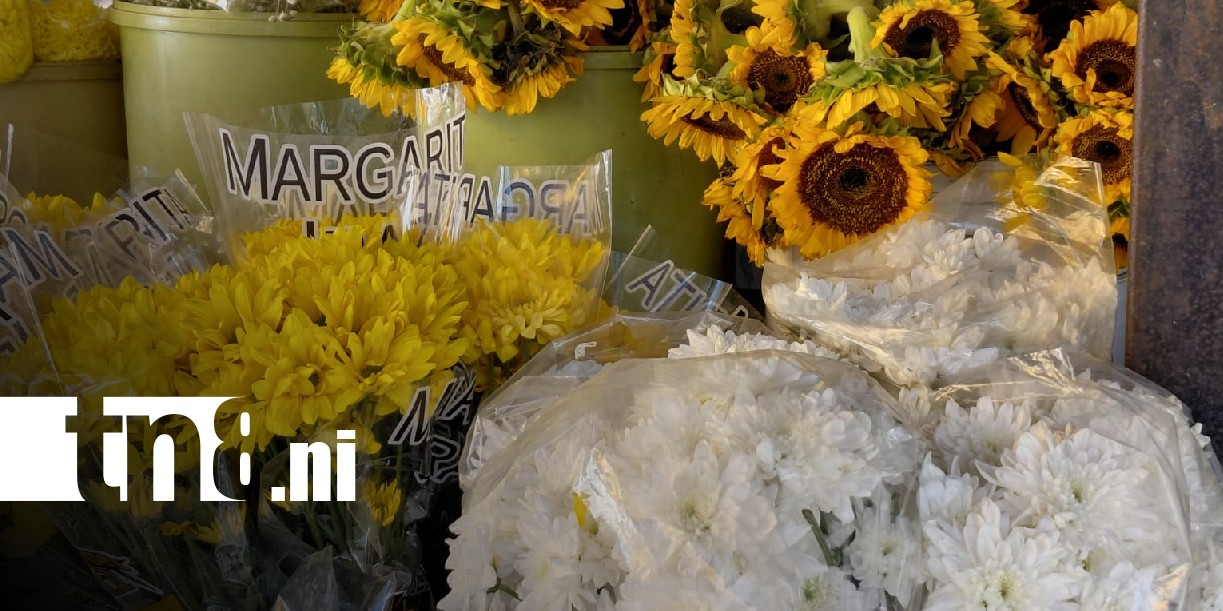 Foto: Variedad de flores en cementerios de Managua / TN8