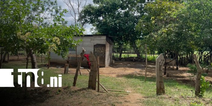 Foto: Investigan crimen en Tisma, Masaya / TN8 Foto: Investigan crimen en Tisma, Masaya / TN8
