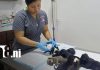 Foto: Veterinaria de Bluefields recomienda acciones contra el maltrato animal / TN8