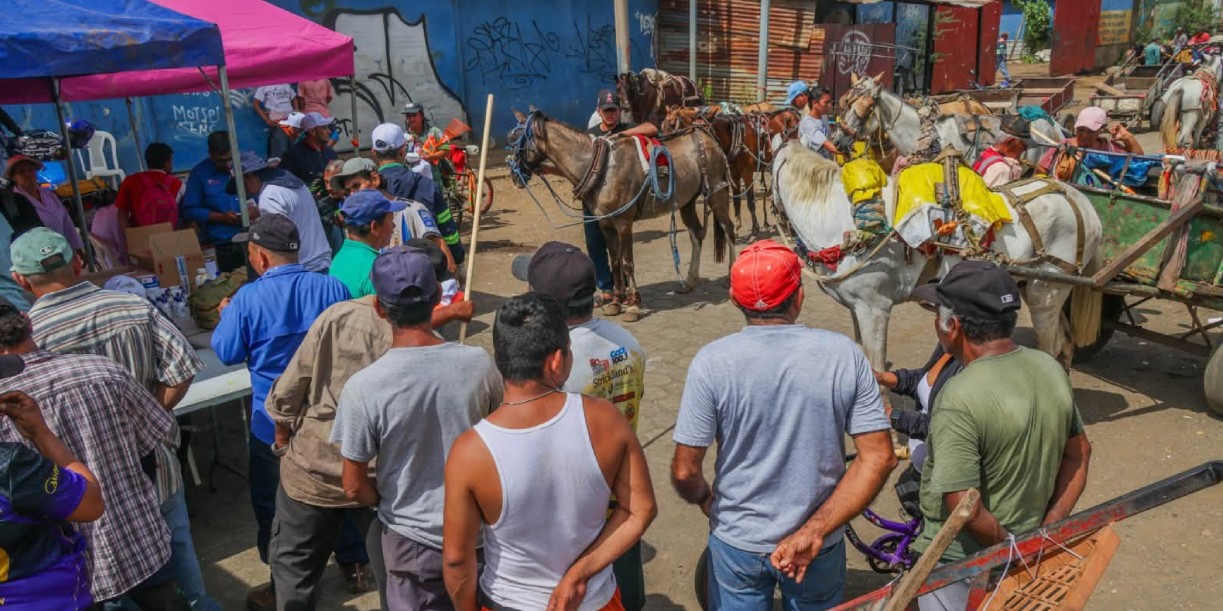 Foto: Carretoneros en Managua / Alcaldía de Managua