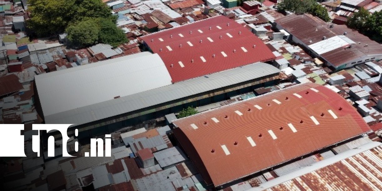 Foto: Galerones en el Mercado Oriental / TN8