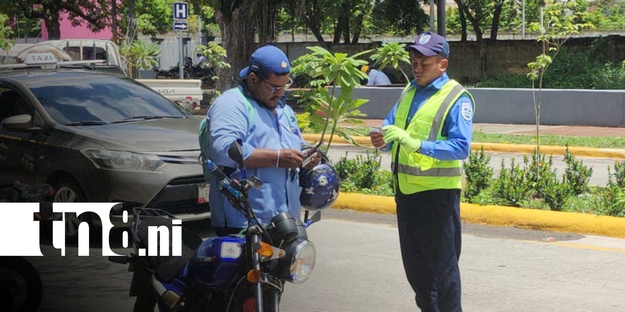 Foto: Captura de delincuentes en León / TN8